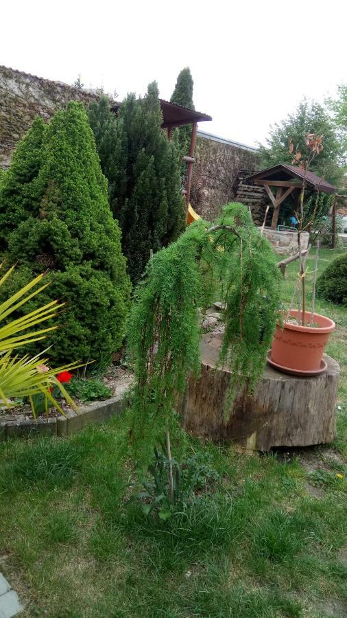 Penzion U Formana Stráž nad Nežárkou エクステリア 写真
